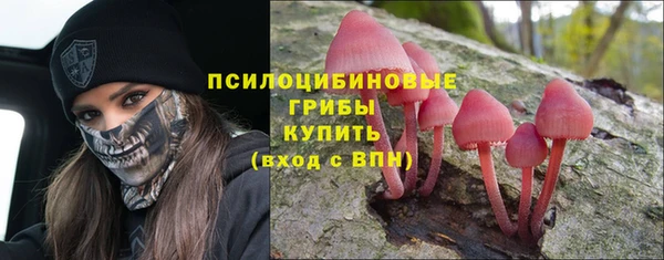 прущие крисы Армянск