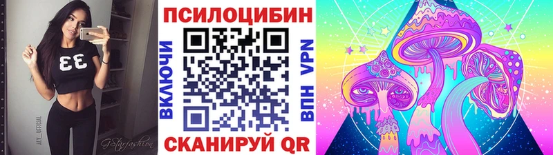 Купить закладки  Кисловодск  Галлюциногенные грибы Psilocybe 